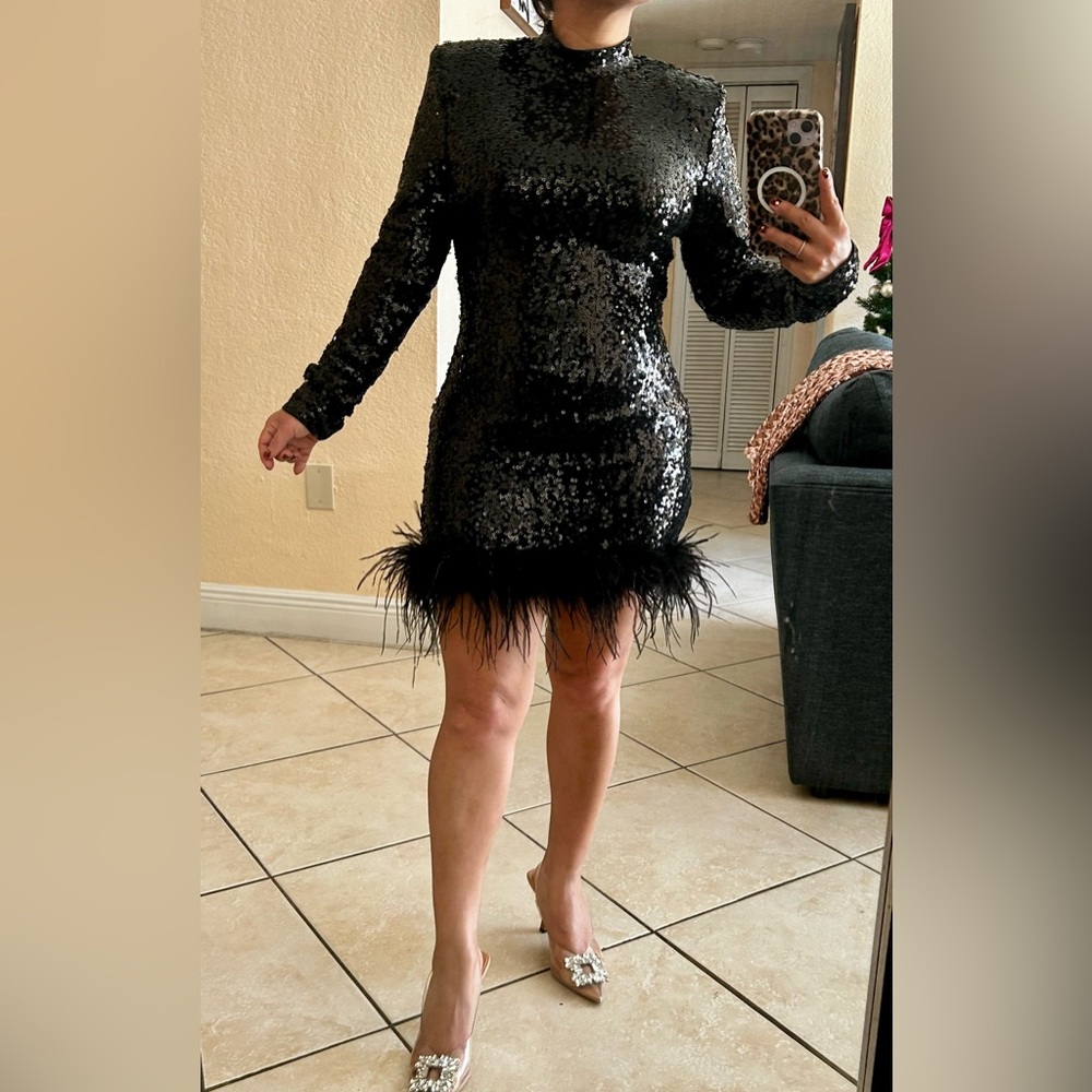Sequin Mini Dress with Feathered Hem – Glamorous & Sophisticated!